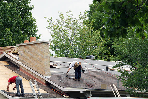 Best Roof Gutter Cleaning  in Macopin, NJ